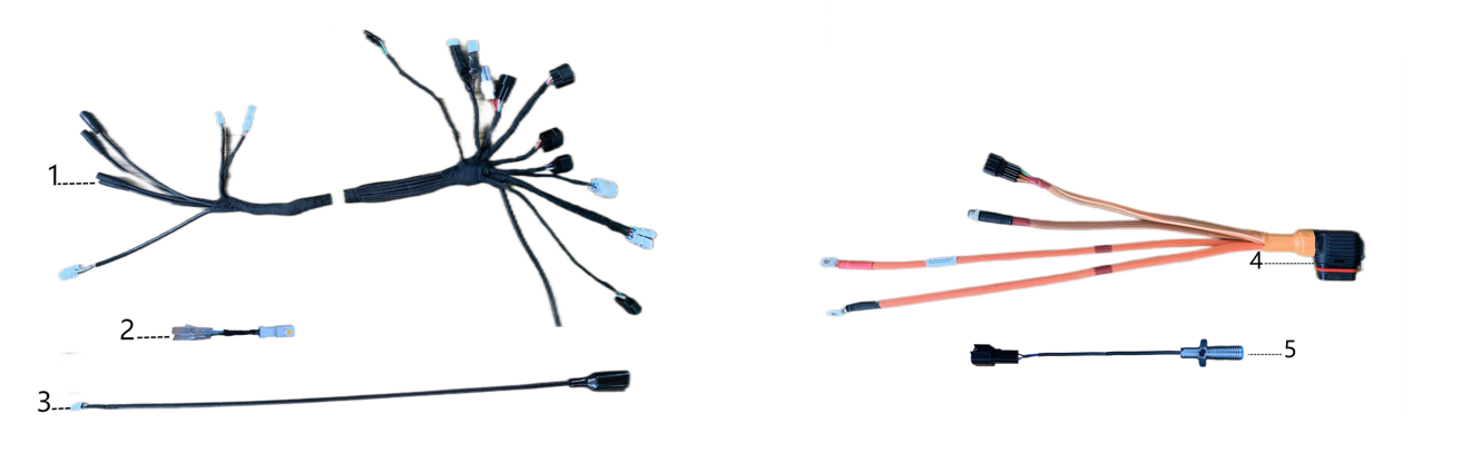 WIRING LOOM