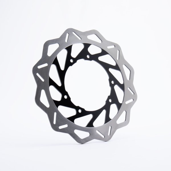 Rear Brake Disc