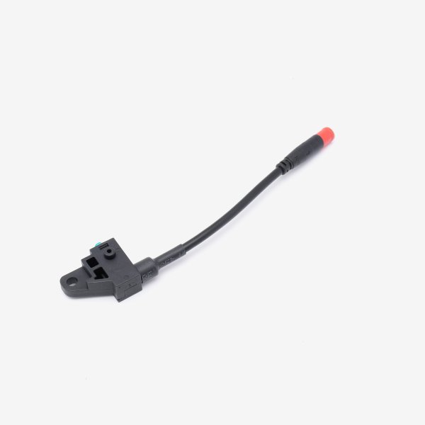 Rear Brake Switch