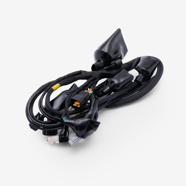 Wiring Loom