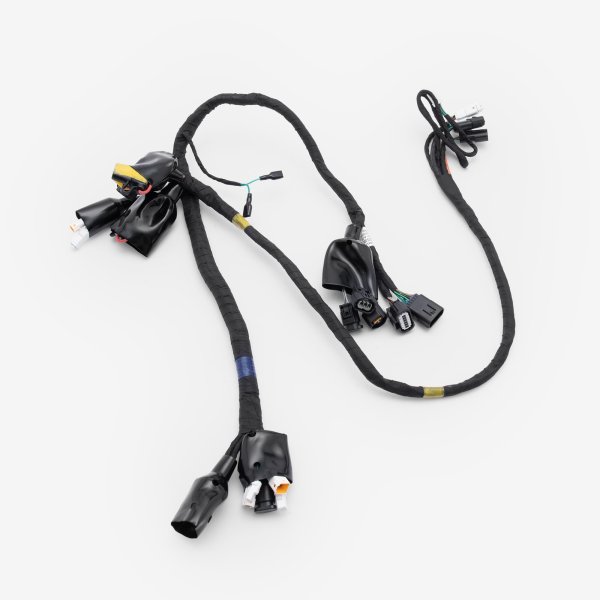 Wiring Loom