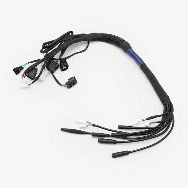Wiring Loom