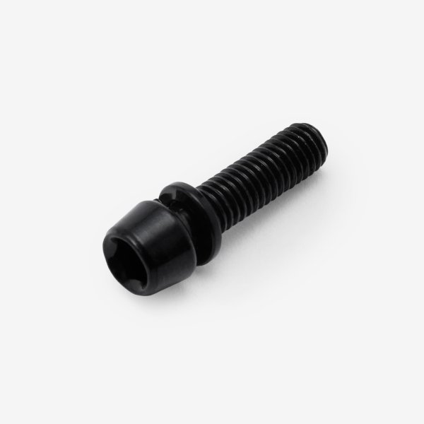 Bolt and Spring Washer M5 x 19mm