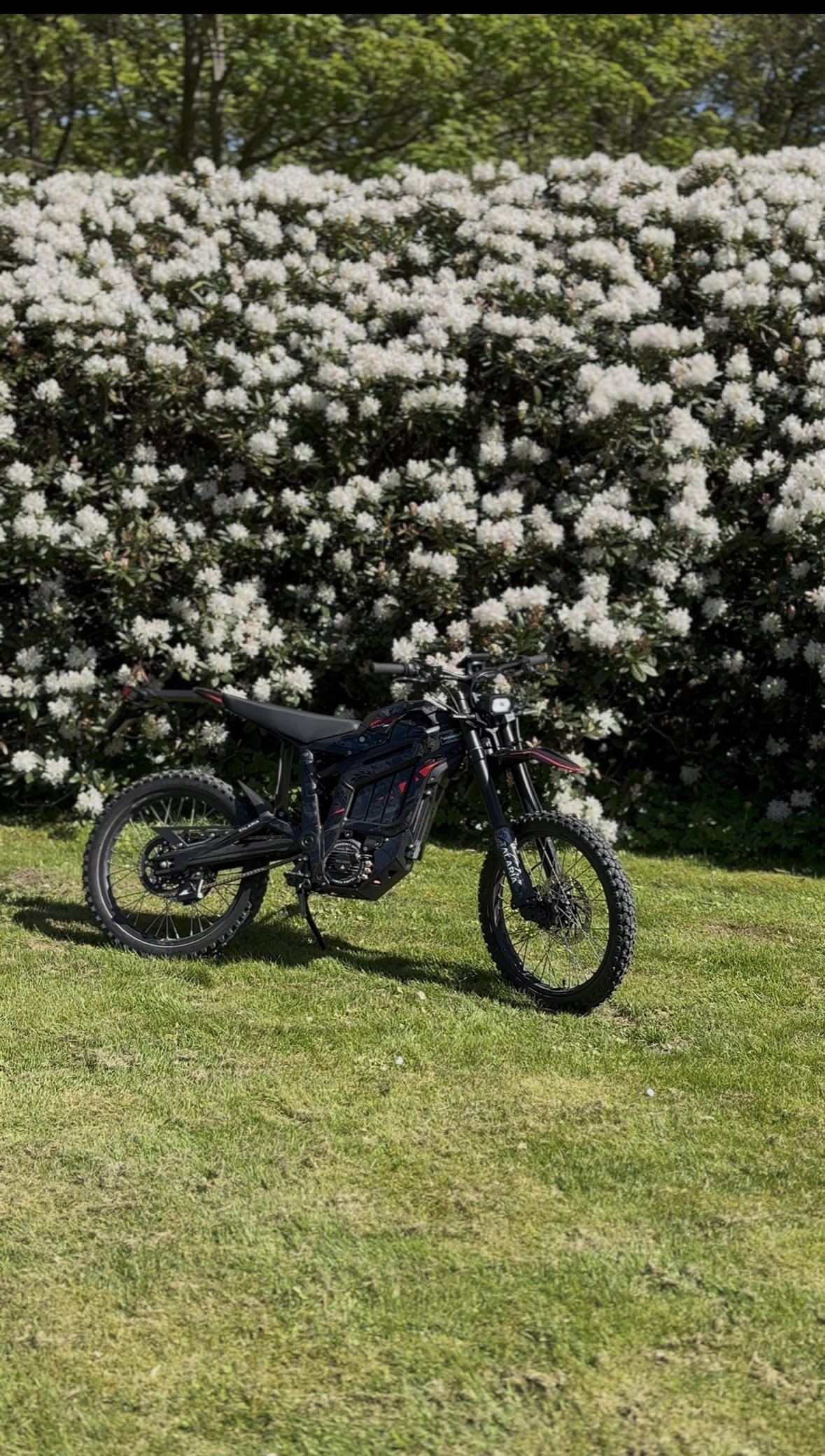 Willam's Sting Pro (MX5)
